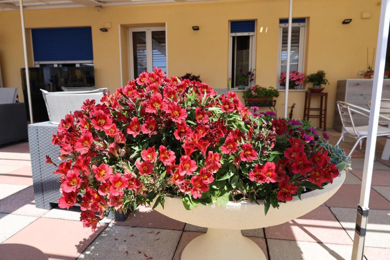 Albergo Stella Di Mare Lavagna Exterior foto